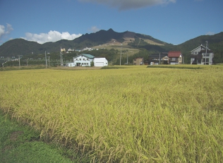 美味しいコシヒカリと自家菜園で採れる野菜たち。